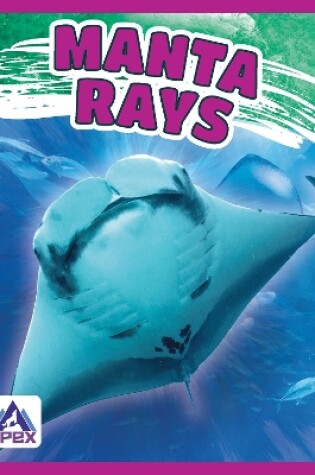 Cover of Manta Rays