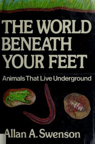 Cover of The World Beneath Your Feet