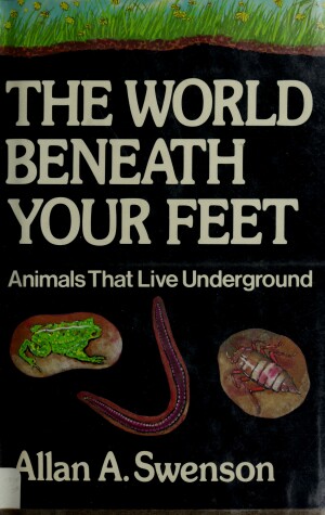 Book cover for The World Beneath Your Feet