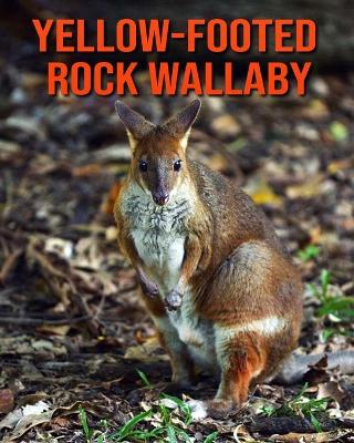 Book cover for Yellow-Footed Rock Wallaby