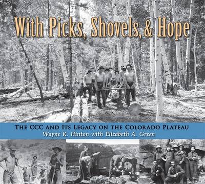 Book cover for With Picks, Shovels, and Hope