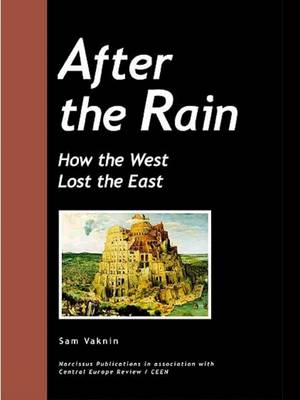 Book cover for After the Rain