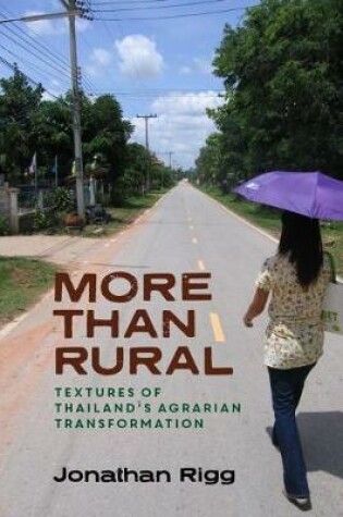 Cover of More than Rural