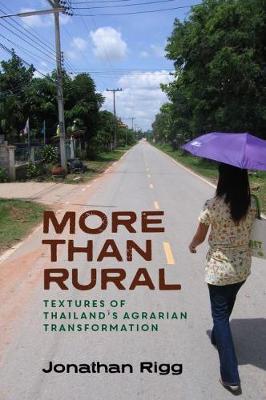 Book cover for More than Rural