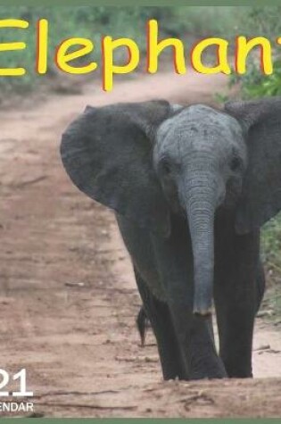 Cover of Elephant