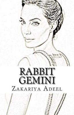 Cover of Rabbit Gemini