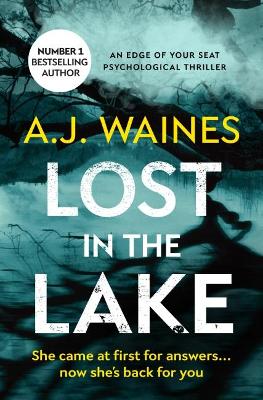 Book cover for Lost In The Lake
