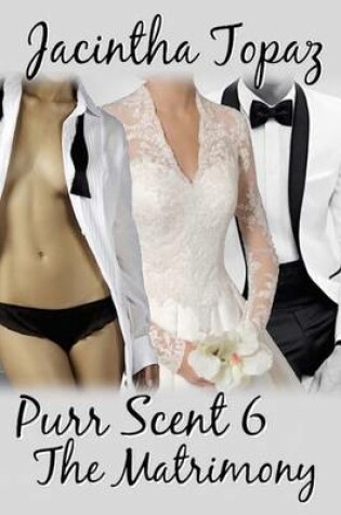 Cover of Purr Scent VI