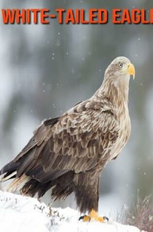 Cover of White-Tailed Eagle