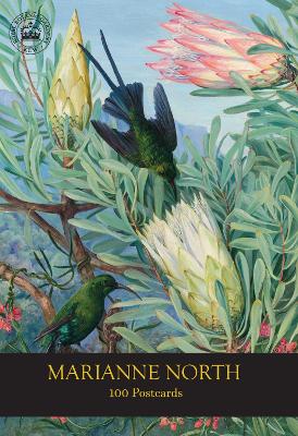 Book cover for Marianne North 100 Postcards