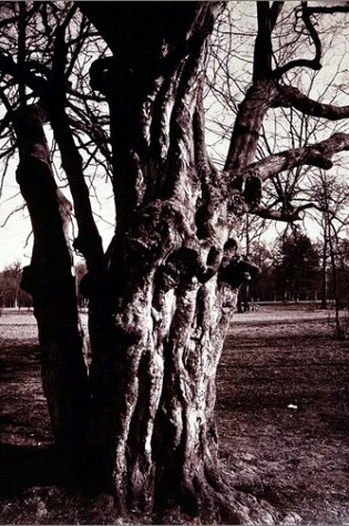 Cover of Atget Eugene - Trees
