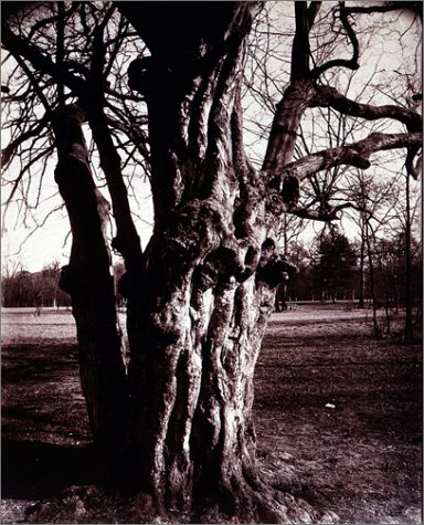 Book cover for Atget Eugene - Trees