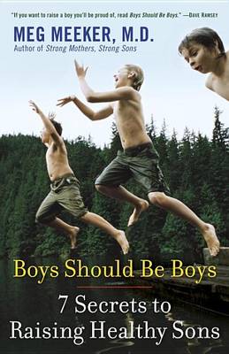 Book cover for Boys Should Be Boys