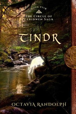 Cover of Tindr