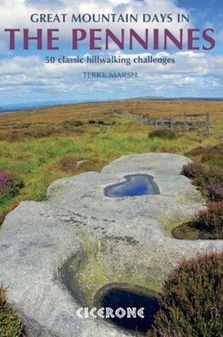 Cover of Great Mountain Days in the Pennines