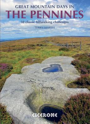 Book cover for Great Mountain Days in the Pennines