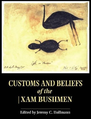 Book cover for Customs and beliefs of the !xam