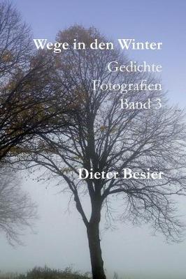 Cover of Wege in den Winter