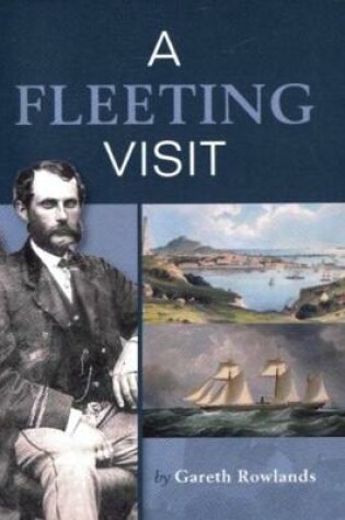 Cover of A Fleeting Visit