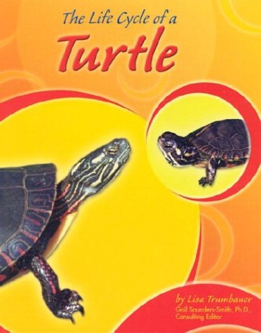 Book cover for The Life Cycle of a Turtle