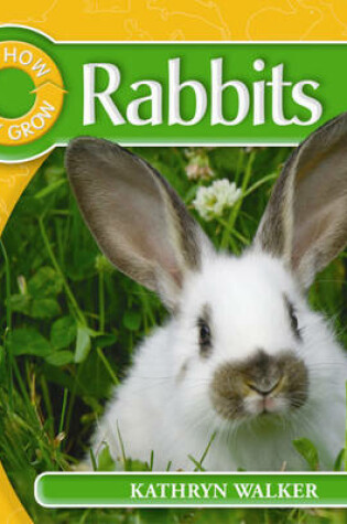 Cover of Rabbit