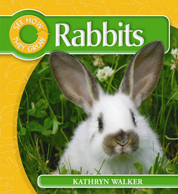 Cover of Rabbit