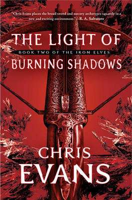 Book cover for The Light of Burning Shadows