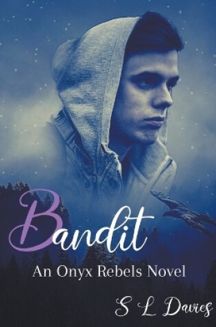 Cover of Bandit