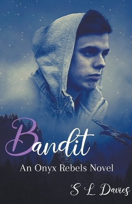 Book cover for Bandit