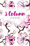 Book cover for 3 Column Ledger