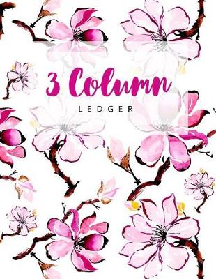 Cover of 3 Column Ledger