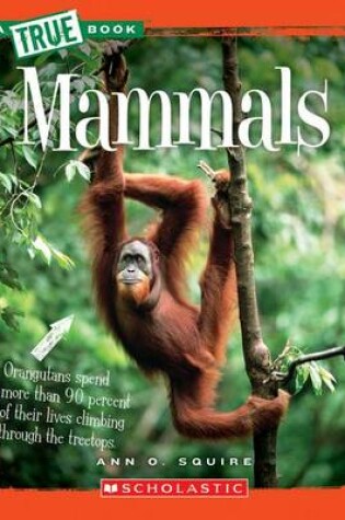 Cover of Mammals