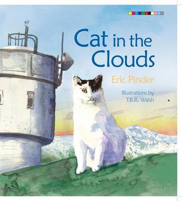 Book cover for Cat in the Clouds