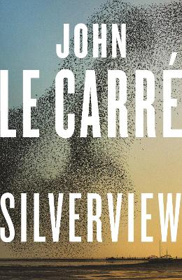 Book cover for Silverview