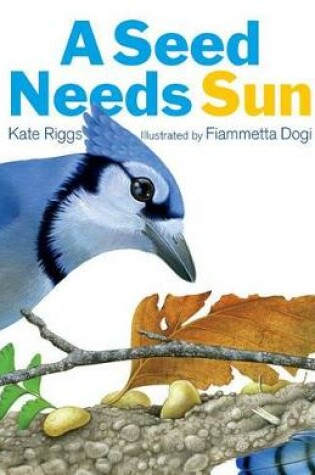 Cover of A Seed Needs Sun