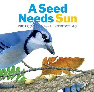 Book cover for A Seed Needs Sun