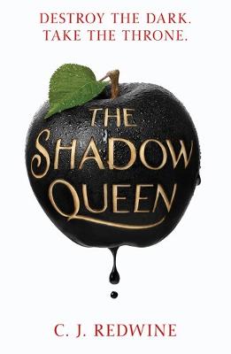 Book cover for The Shadow Queen