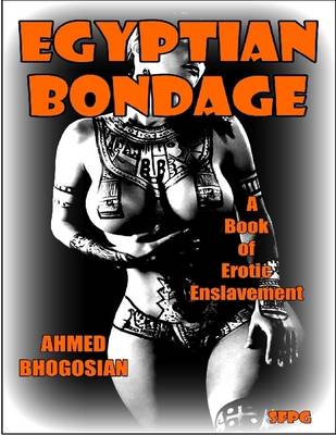 Book cover for Egyptian Bondage
