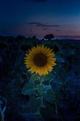 Book cover for A Sunflower at Sunset Journal