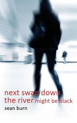 Book cover for next swan down the river might be black