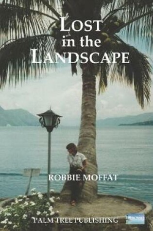Cover of Lost in the Landscape