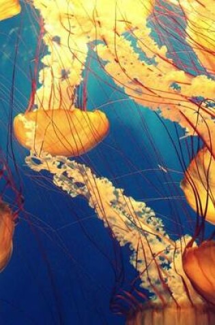 Cover of A Multitude of Jellyfish Swimming