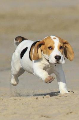 Book cover for Little Beagle Playing at the Dog Beach Journal