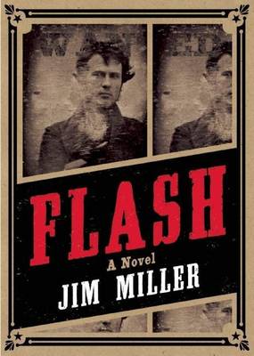 Book cover for Flash: A Novel