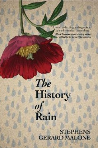 Cover of The History of Rain