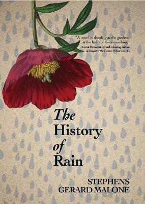 Book cover for The History of Rain