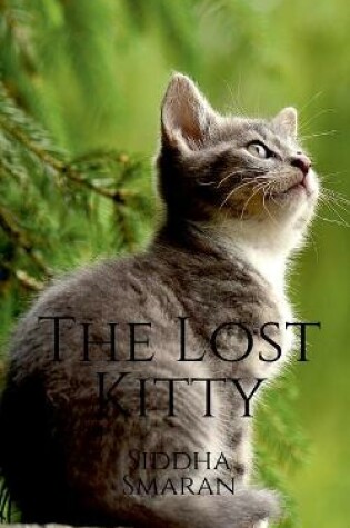 Cover of The Lost Kitty