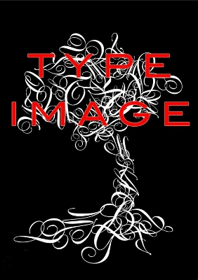 Book cover for Type Image