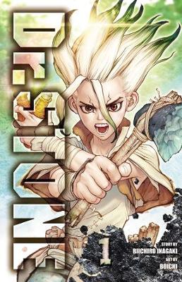 Cover of Dr. STONE, Vol. 1