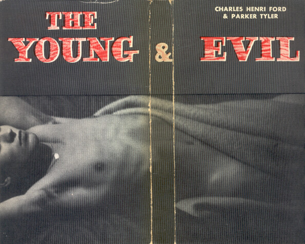 Book cover for Young and the Evil